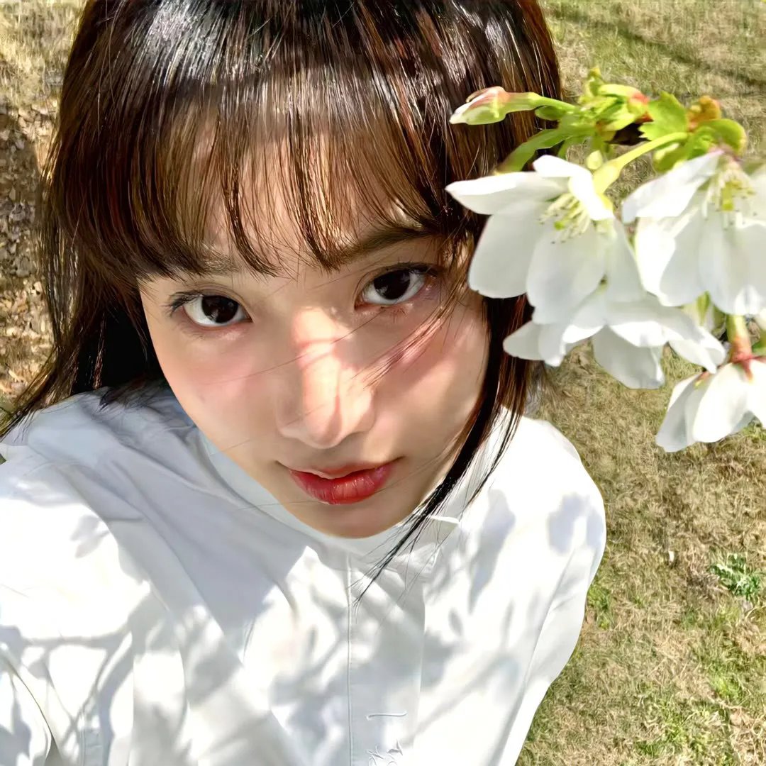 飞侠小白龙